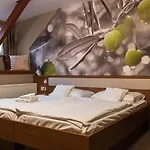 Отель Oliva