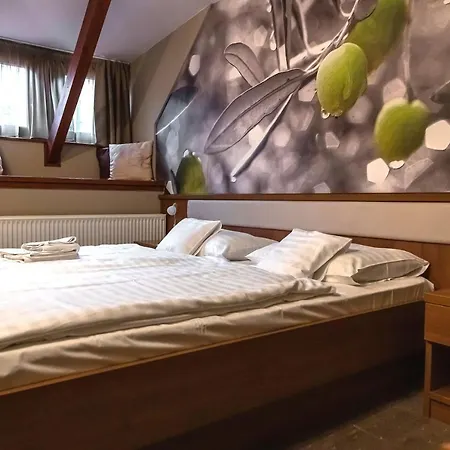Hotel Oliva 4*