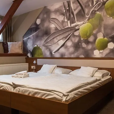 Hotel Oliva