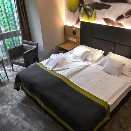 Hotel Oliva 4*