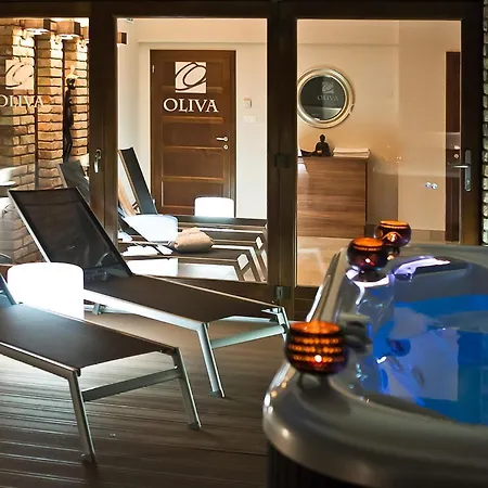 호텔 Oliva 4*