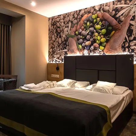 호텔 Oliva 베스프렘