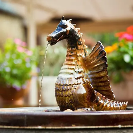 Oliva 호텔 베스프렘